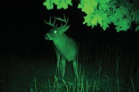 Infrared night vision 