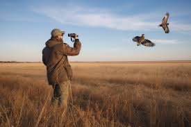 Hawke Nature-Trek 8x42 Binoculars: Enhancing Birdwatching during Migration, Hawke Nature-Trek 8&#215;42 Binoculars: Enhancing Birdwatching during Migration