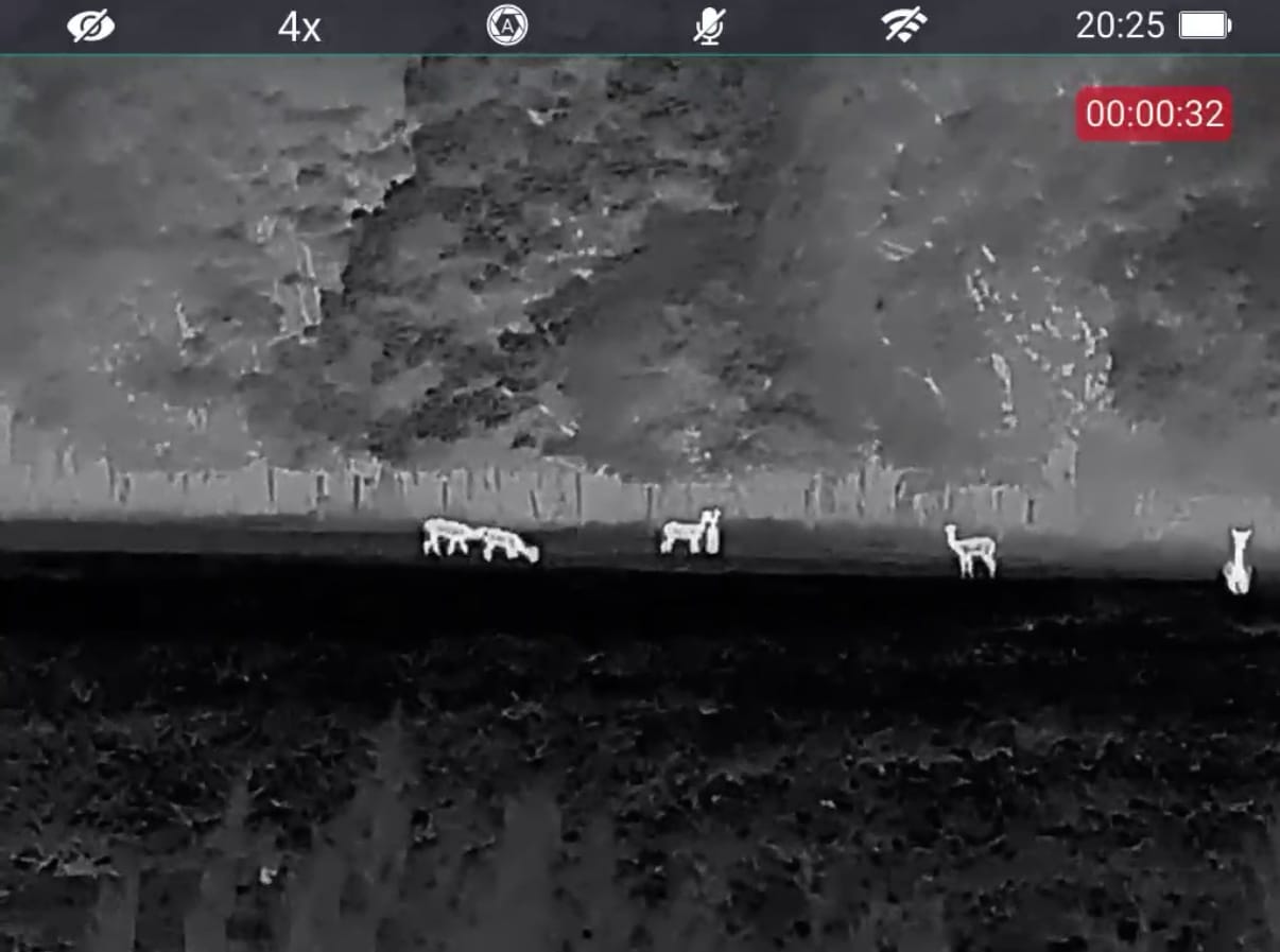 Infiray IL35 demo – tap to watch