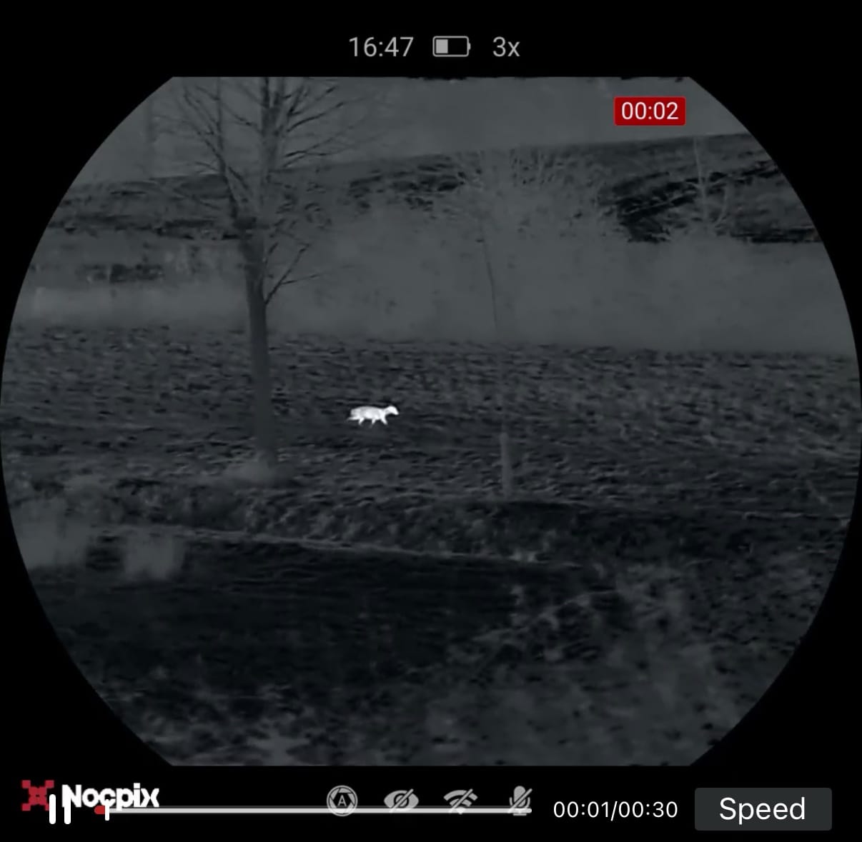 Nocpix Vista H35R demo – tap to watch