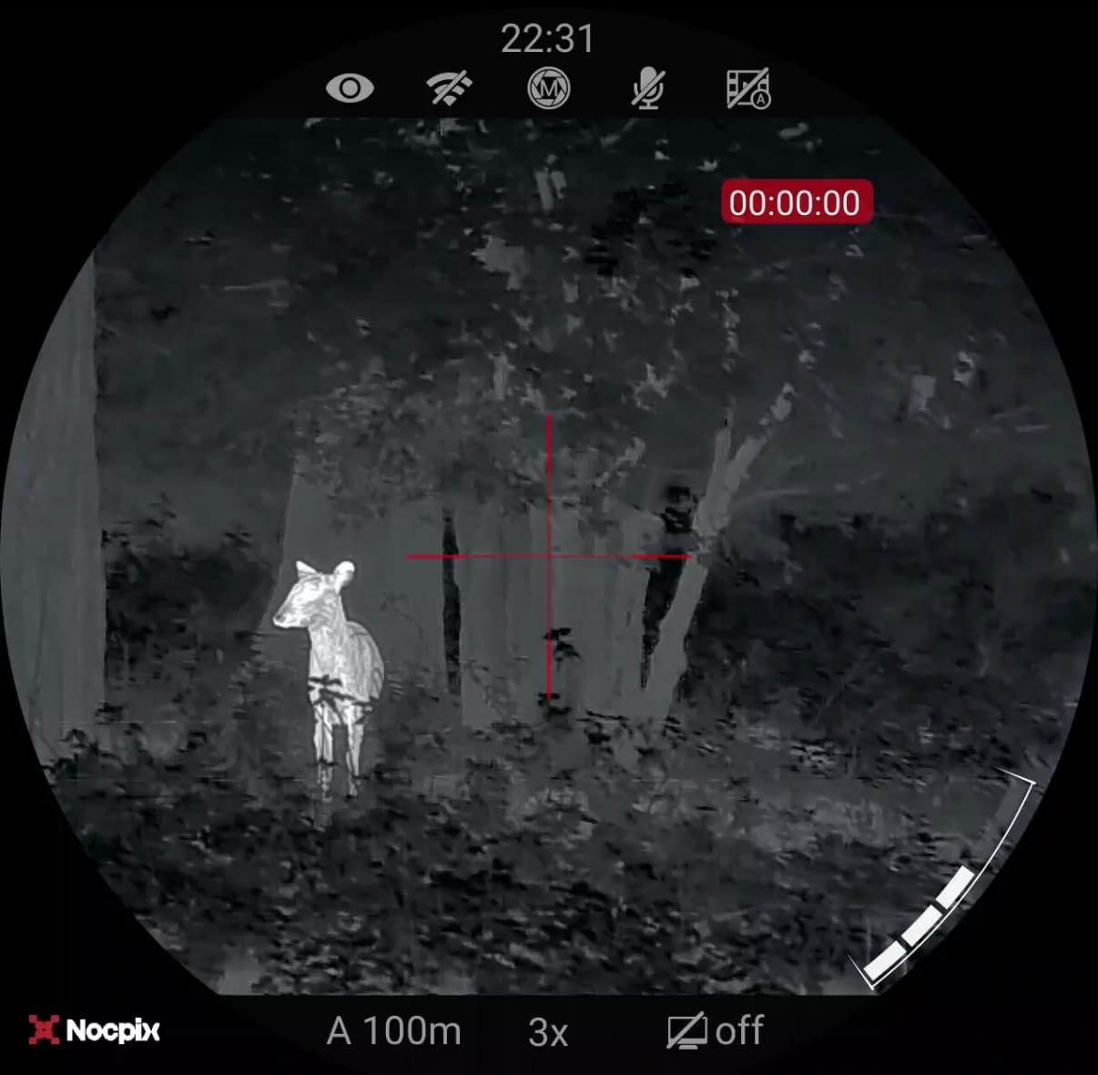 Nocpix Ace H50 thermal demo – tap to watch