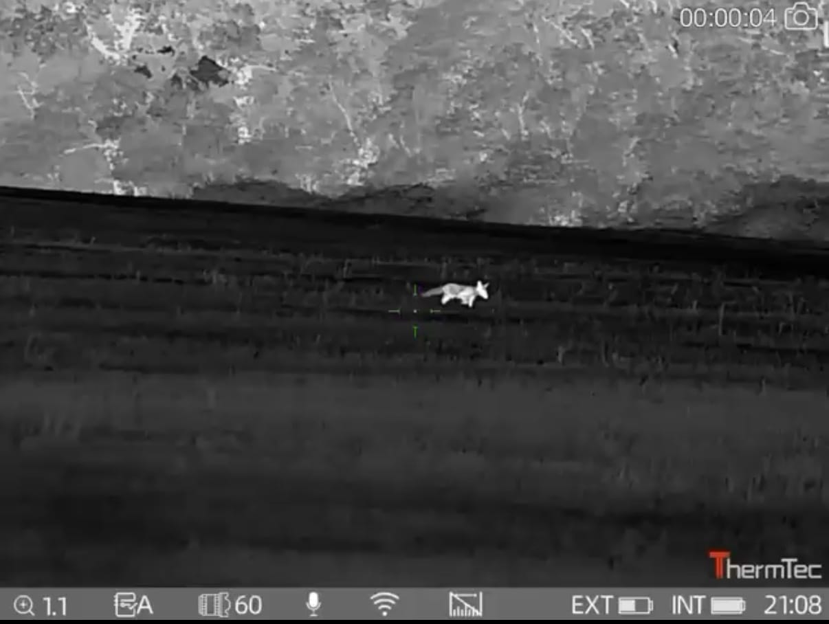 Thermtec Ares 2.0 660 LRF demo – tap to watch