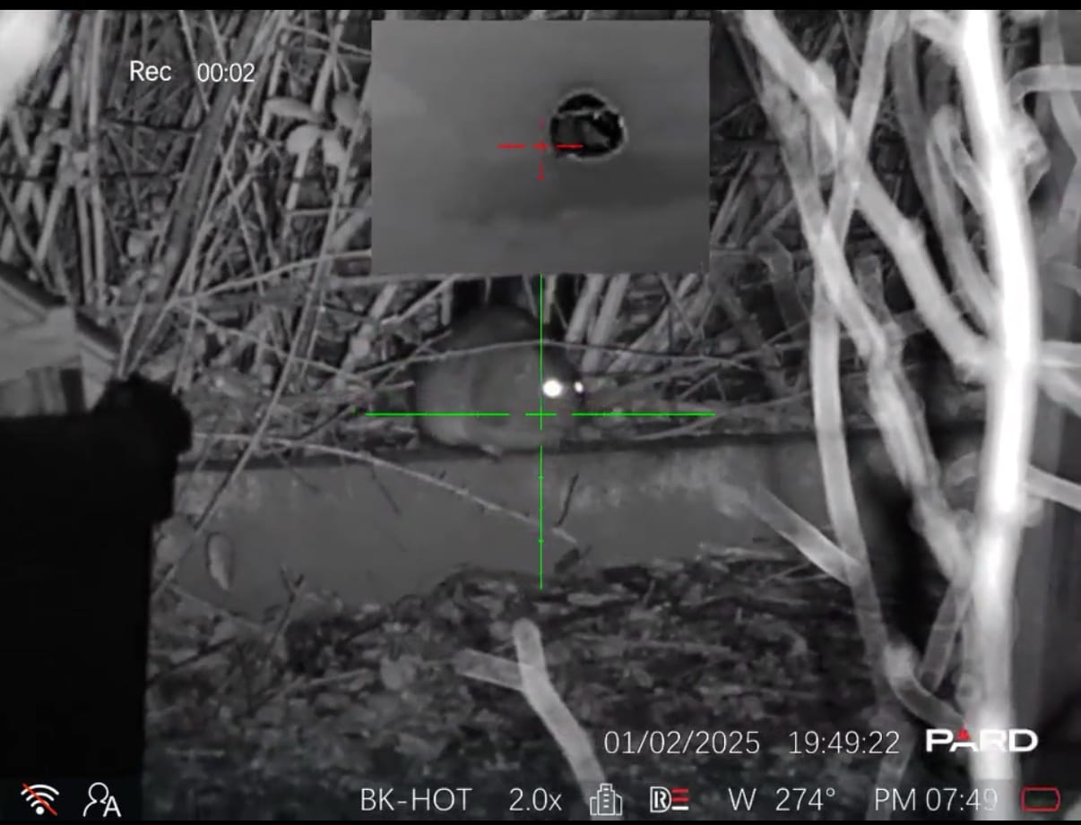 Pard Landsat 256 Mini LRF demo – tap to watch