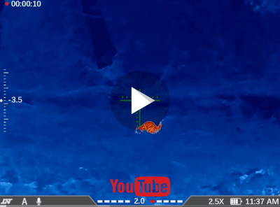 DNT Thermnight 335R Multispectral Demo