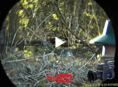 Pard NV007V2 Night Vision Add-On Demo