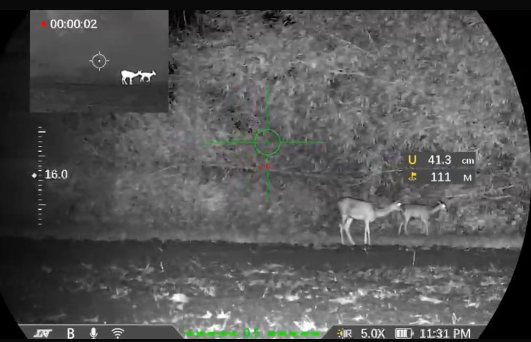 Thermnight 635R thermal demo – tap to watch