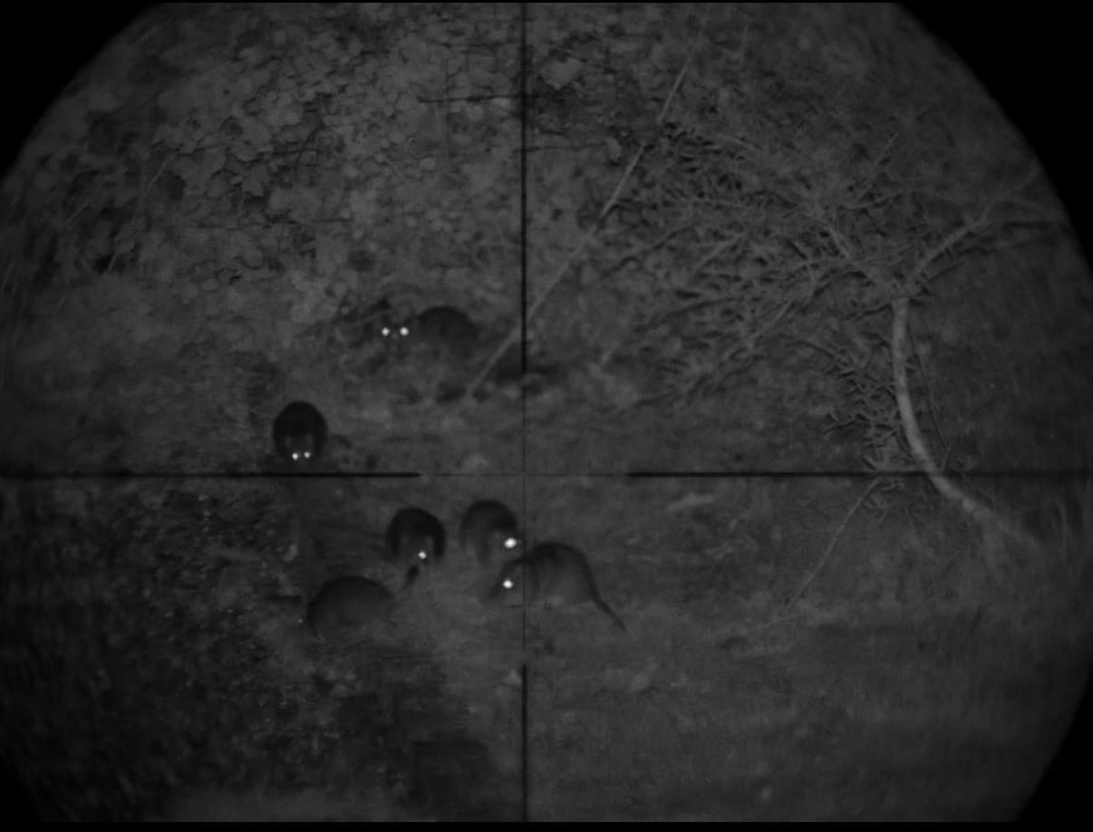 Pard NV007 V2 Add-on demo – tap to watch