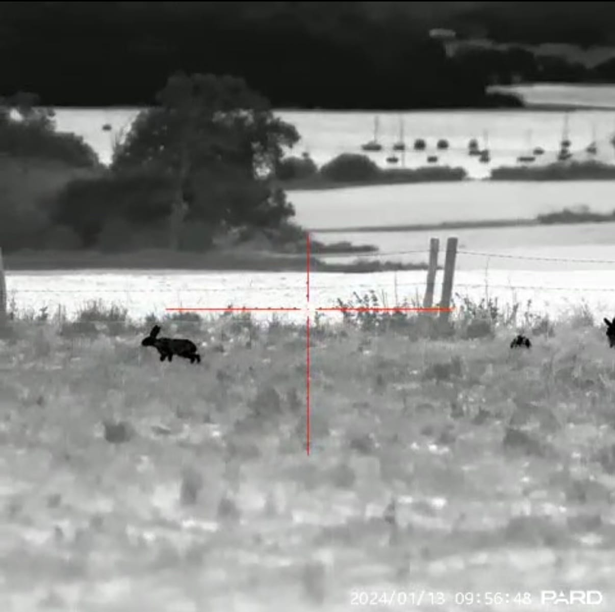 Pard Pantera 640 2.0 demo – tap to watch