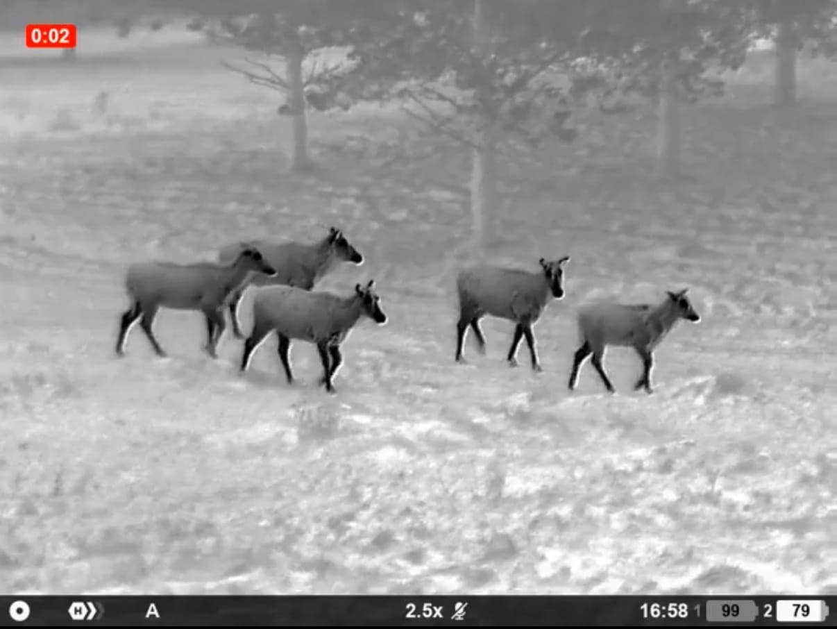 Pulsar Oryx XG35 LRF demo – tap to watch