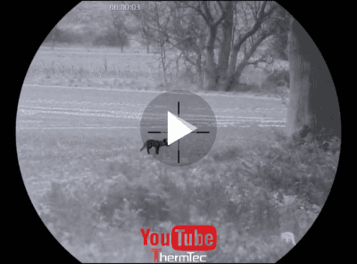 Fox with the oryx 650L