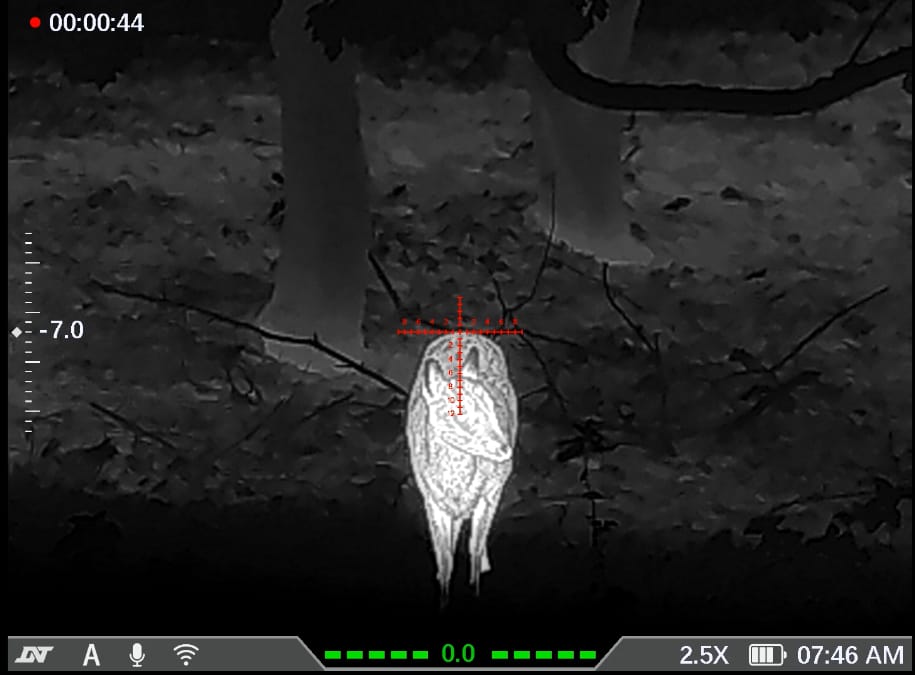 Thermnight 335R thermal demo – tap to watch