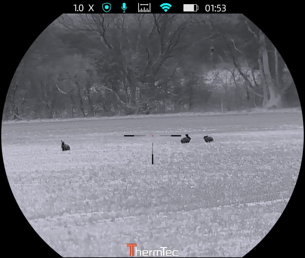 Thermtec Oryx 650L demo – tap to watch