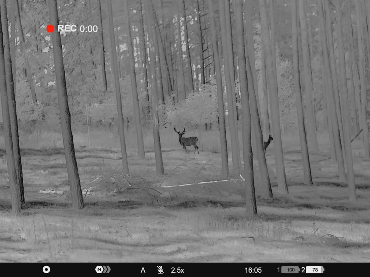 Pulsar Merger XT50 LRF demo – tap to watch