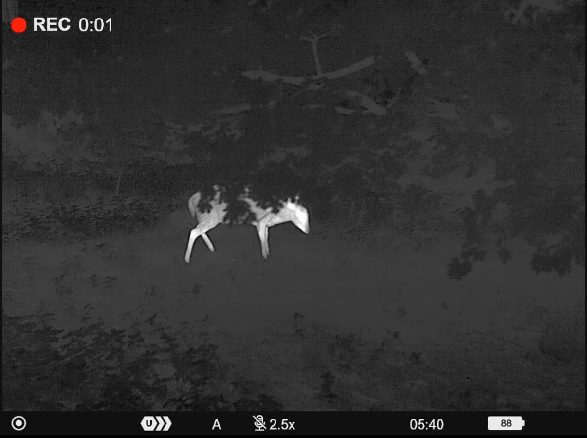 Pulsar Telos XL50 LRF demo – tap to watch