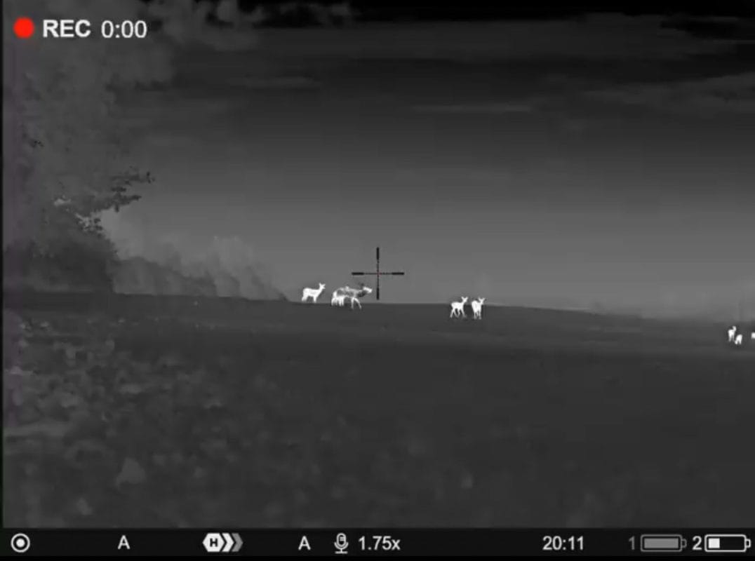 Pulsar Thermion XL50