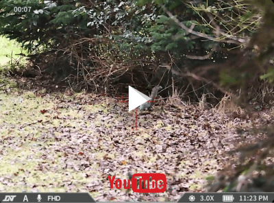 DNT ZULUS 4K Tubed Digital Day Night Vision Scope 