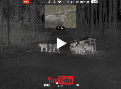 Pulsar Symbion DXT50 LRF Demo